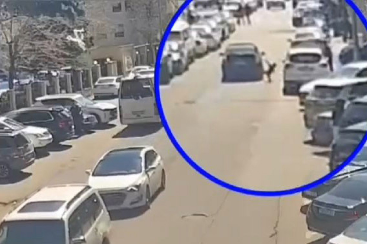 “Piyadalar, diqqətli olun!” adlı təhlükəsizlik həftəliyi keçirilir - VİDEO