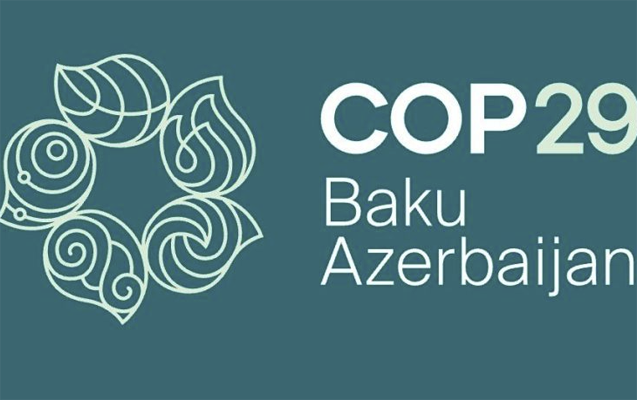 COP29 Əməliyyat Şirkətində audit - Nəticələr açıqlandı