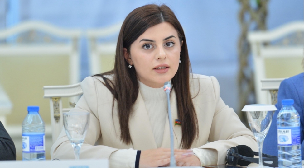 Deputat Malayziyaya gedir