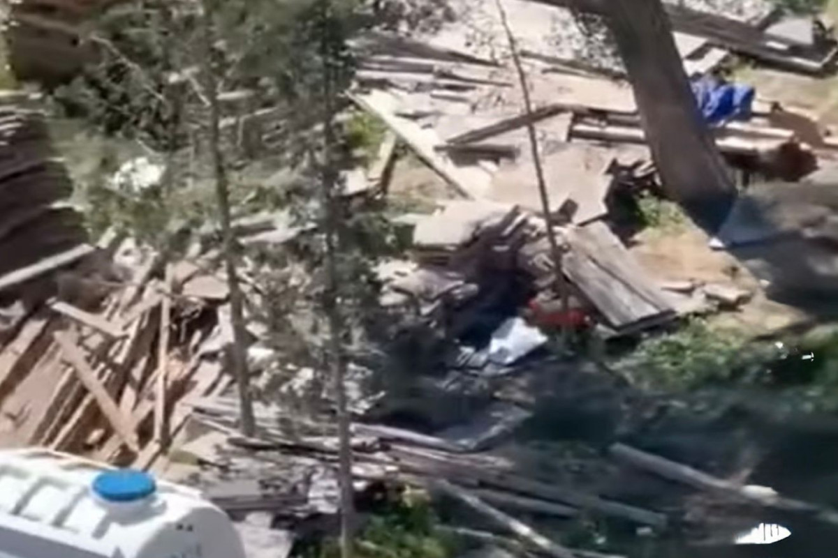 Sumqayıtda ağacları kəsdilər - Polis araşdırır