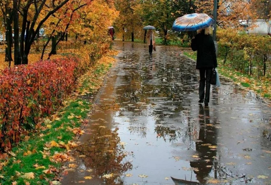 Yağış yağır, külək əsir - Faktiki hava