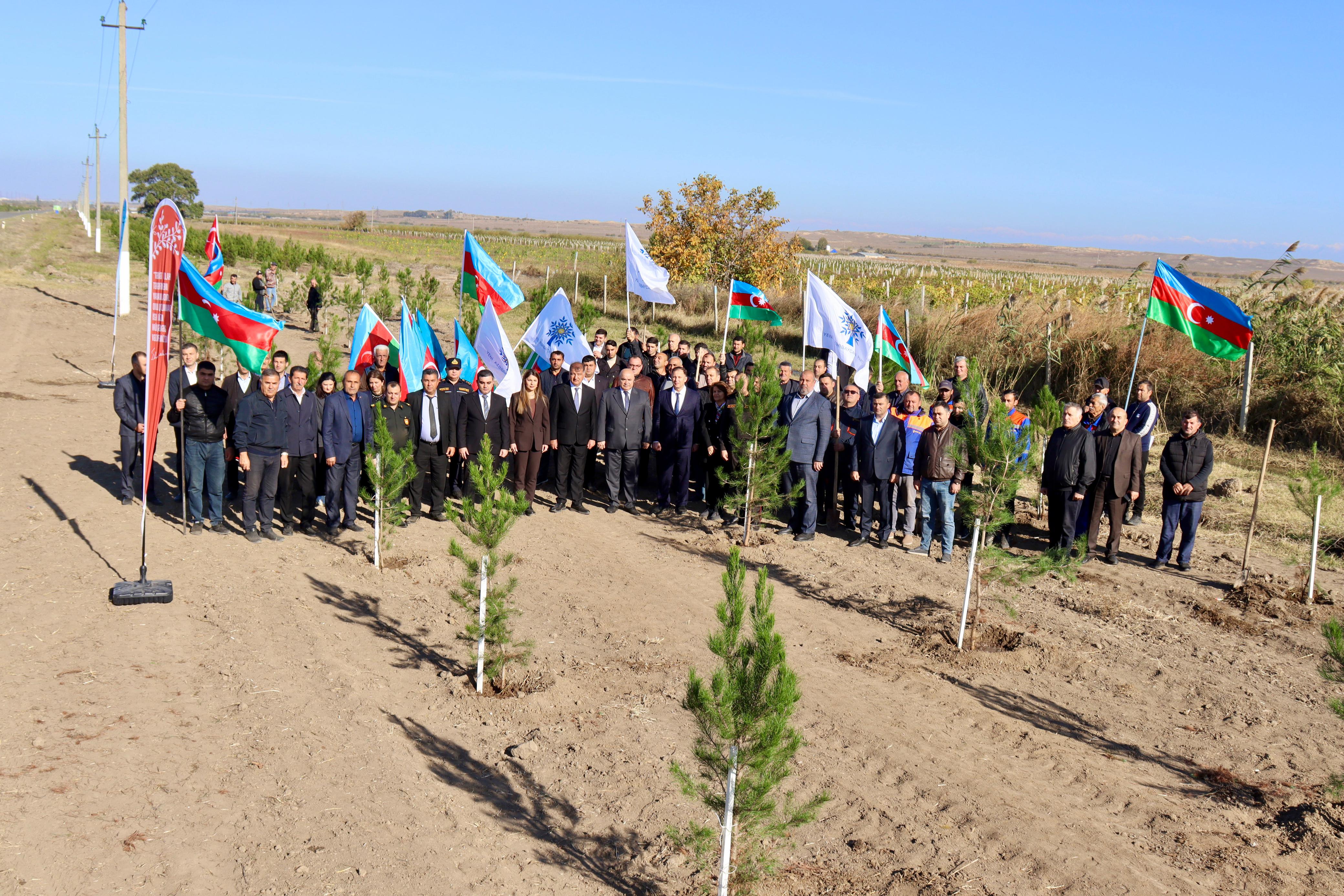 Samuxda “Zəfər Günü”nə həsr olunmuş ağacəkmə aksiyası - FOTOLAR