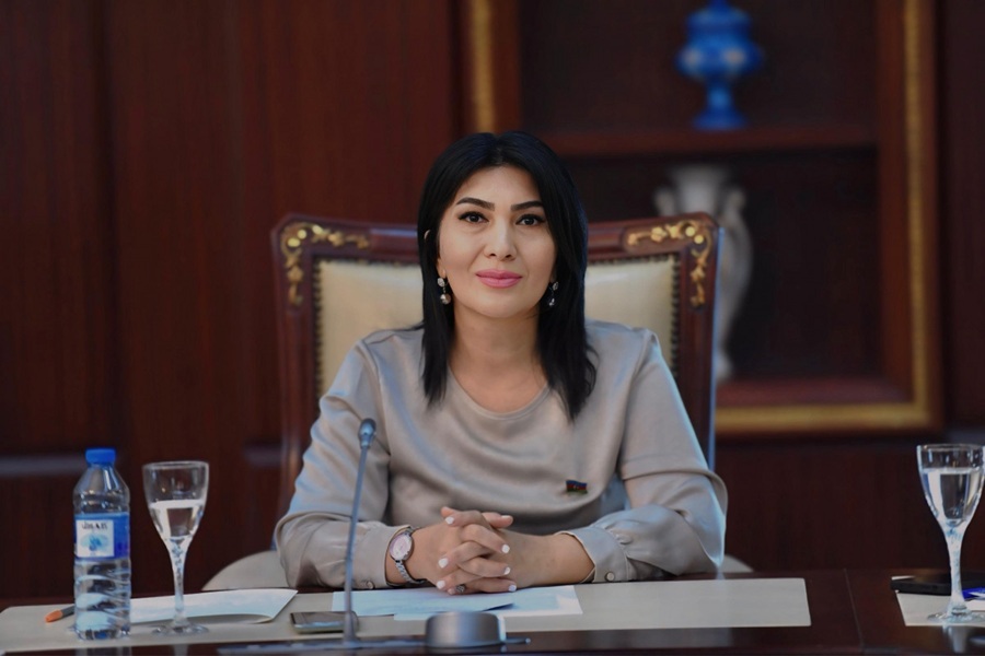 Zəfərin qarşısında müxalifətdə olmaq mümkün deyil - Elnarə Akimova