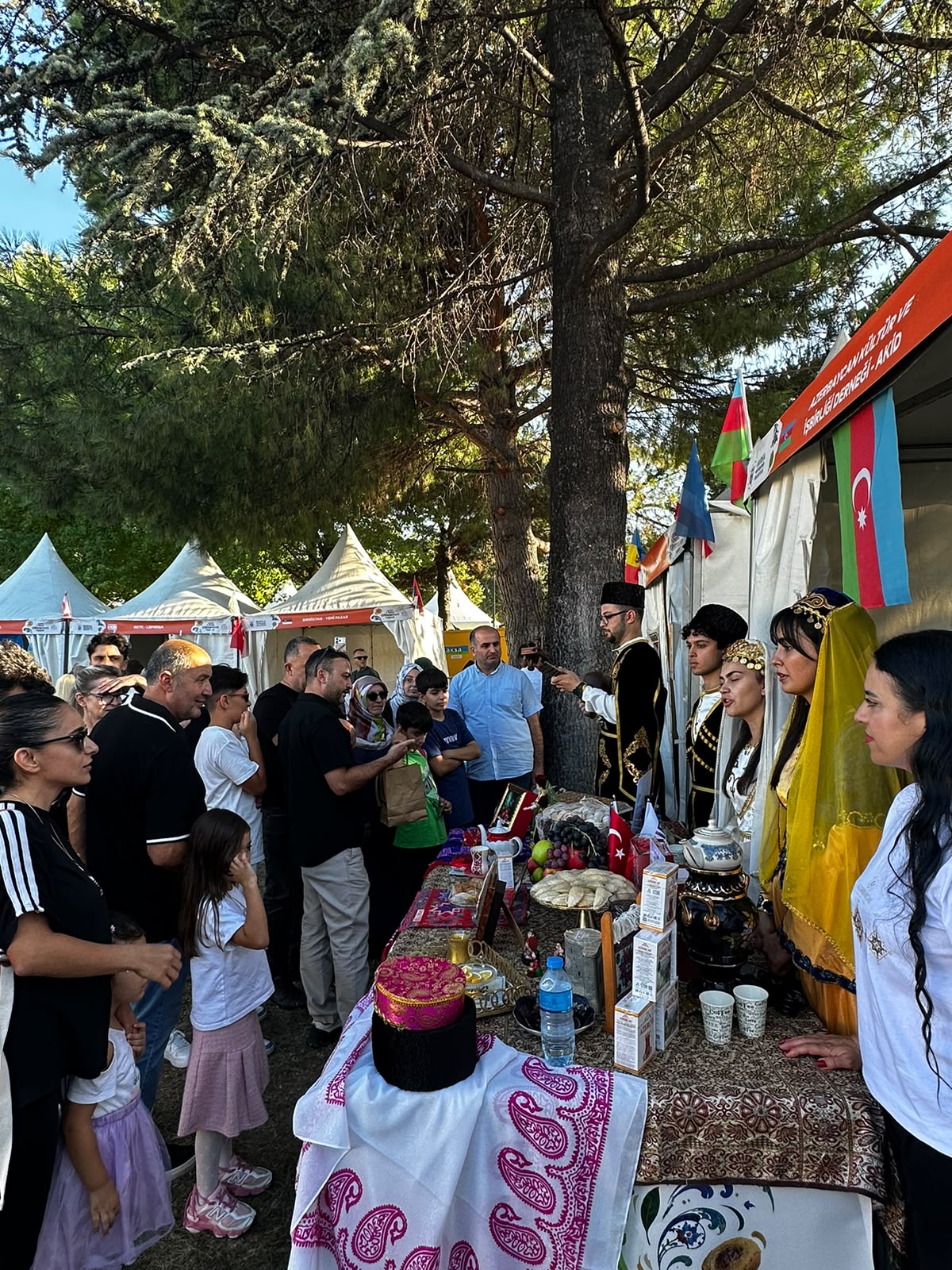 1550253