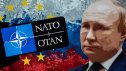 Putin NATO-nun nəbzini yoxladı - ANALİZ