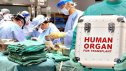 Azərbaycanda orqanlarını bağışlamaq istəyənlərin sayı - RƏSMİ