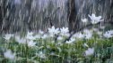 Hava ilə bağlı XƏBƏRDARLIQ EDİLDİ