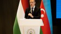 Azərbaycanın dostu barədə araşdırma başladı