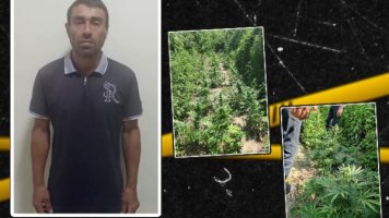 Həyətində çətənə kolu yetişdirən şəxs tutuldu - VİDEO