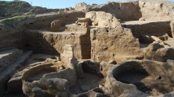 Göytəpə abidəsi ciddi təhlükədədir - VİDEO