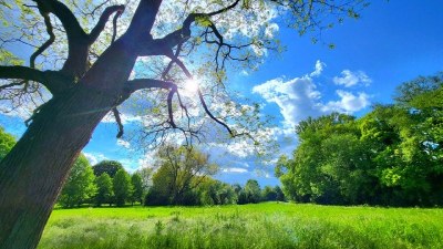 Sabah temperatur 35 dərəcəyə çatacaq