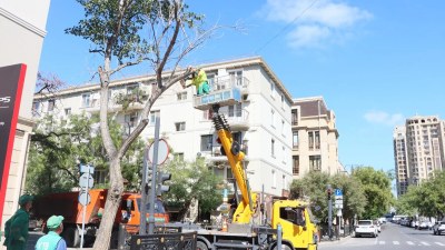 Bakıda küləyə qarşı qabaqlayıcı tədbirlər görülür
