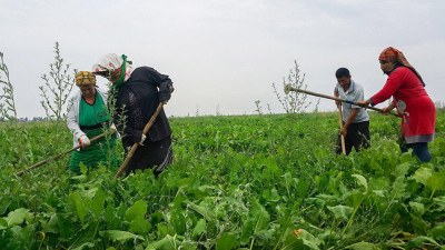 Fermerlər məhsul istehsalına başlamadan maliyyə ala biləcəklər