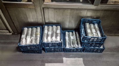 İrandan Rusiyaya gedən “kərəviz” yükündən narkotik çıxdı