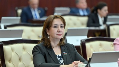 Mineral ehtiyatlar iqtisadi inkişaf üçün kapitala çevrilməlidir - Deputat