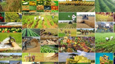 Qarabağda əhalinin məşğul ola biləcəyi təsərrüfatlar açıqlandı