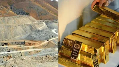 Söyüdlü yatağından her yıl ne kadar gelir elde edeceğiz?