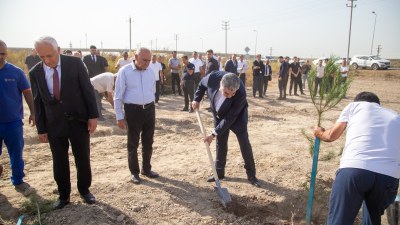 Salyanda şəhidlərin xatirəsinə ağaclar əkildi - GÖRÜNTÜ