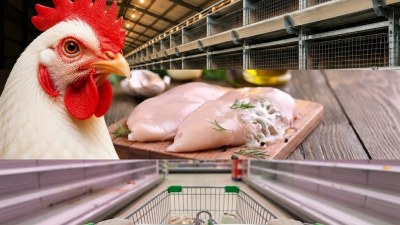 Toyuq filesi marketlərdə niyə yoxdur? –  AÇIQLAMA
