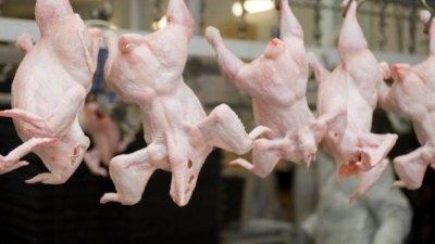Deputat toyuq ətinin bahalaşmasından narazılıq etdi