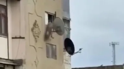 Bakıda iti binadan atan kişi həbs olundu