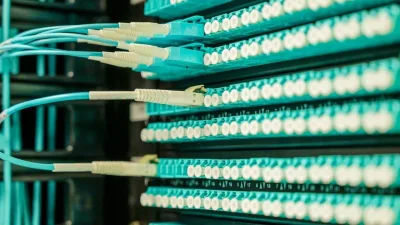 "Ölü internet" nəzəriyyəsi reallaşır: alimlər xəbərdarlıq edir