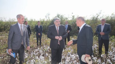 Rüstəm Xəlilov Salyanın&nbsp;pambıq sahələrində