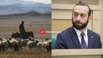 Mirzoyan azərbaycanlı çobanın Ermənistana keçməsindən danışdı