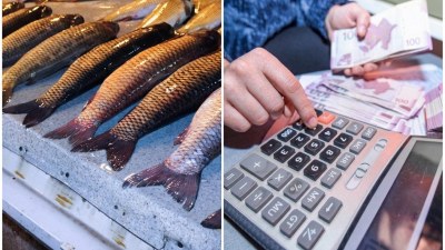 Azərbaycanda balıq ovu mövsümü başladı, qiymətlər düşmədi