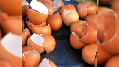 Ən çətin ləkələri yumurta qabıqları ilə çıxartmaq olar - RESEPT