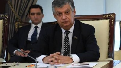 Kəndlərdə işləyən vəkillərə güzəştlər edilsin - Əli Məsimli