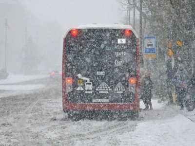 Yollar təmizlənir, avtobuslar xəttə buraxılır - AYNA