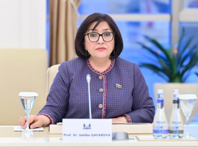 Heç kim Azərbaycana təzyiq göstərə bilməz - Sahibə Qafarova