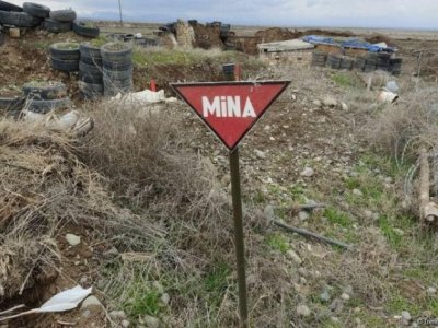 DİN və ANAMA mina təhlükəsi ilə bağlı müraciət etdi - VİDEO