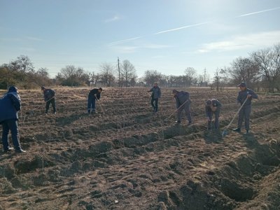 Meşə fondu torpaqlarında ağac əkininə start verildi - FOTO