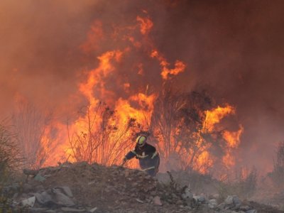 Meşə yanğınlarında ölənlərin sayı 122-yə çatdı