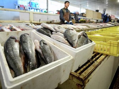 Dəniz balıqları qeybə çəkilib, göl balıqları meydan sulayır - QİYMƏTLƏR