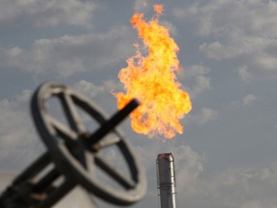 Qazın ucuzlaşması davam edir