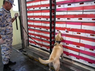 Astarada uğurlu əməliyyat - 103,3 kq narkotik aşkarlandı