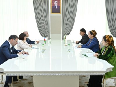 Sahibə Qafarova həmkarı ilə görüşdü