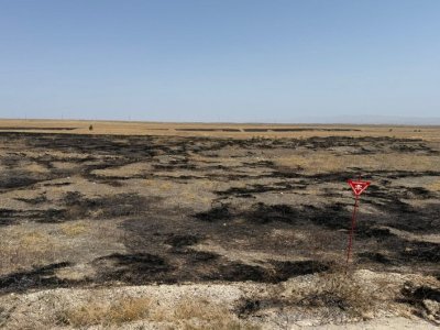 Cəbrayılda yanğın törədən şəxslər saxlanıldı