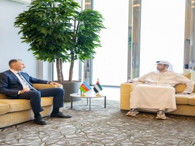 Azərbaycanla BƏƏ birgə tədqiqat mərkəzi yaradacaq