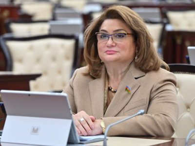 Prezidentin təltif etdiyi komitə sədri: Bundan sonra daha da çox işləməliyik