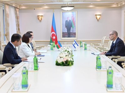 Сахиба Гафарова встретилась с новым послом Израиля