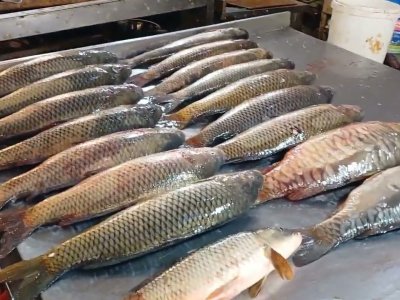 Bakı bazarlarında balıq da BAHALAŞDI