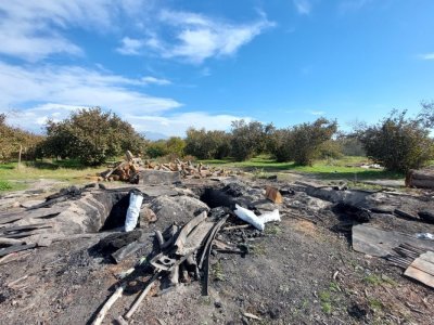 Oğuzda qanunsuz kömür quyuları aşkarlandı - FOTO
