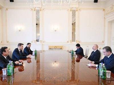 Rumıniya parlamentinin sədri Prezidentin qəbulunda - FOTO