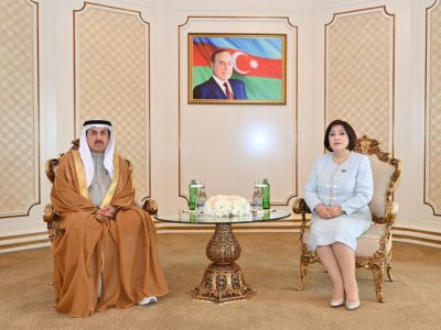 Sahibə Qafarova həmkarı ilə görüşdü