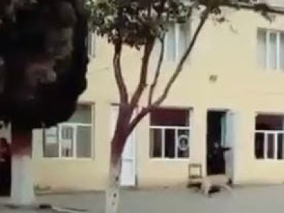 Məktəbin qarşısında it qadına hücum etdi