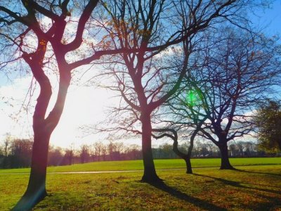 Noyabrın ilk gününün HAVASI